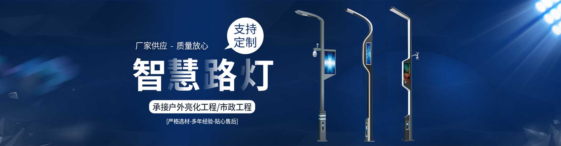 射阳县太阳能路灯定制厂家