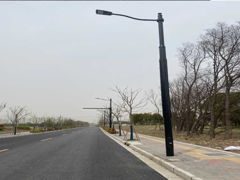 射阳县上海综合杆 太阳能路灯工程